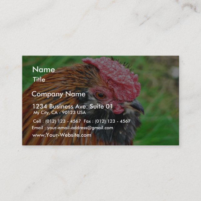 Bantam Hen Animal Business Card (Front)