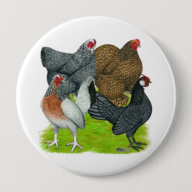 Bantam Hen Quartet 10 Cm Round Badge (Front)