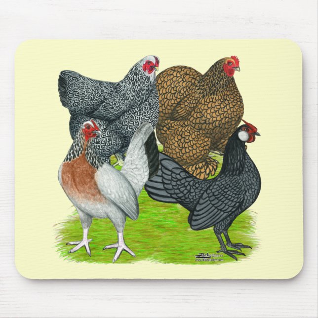 Bantam Hen Quartet Mouse Pad (Front)