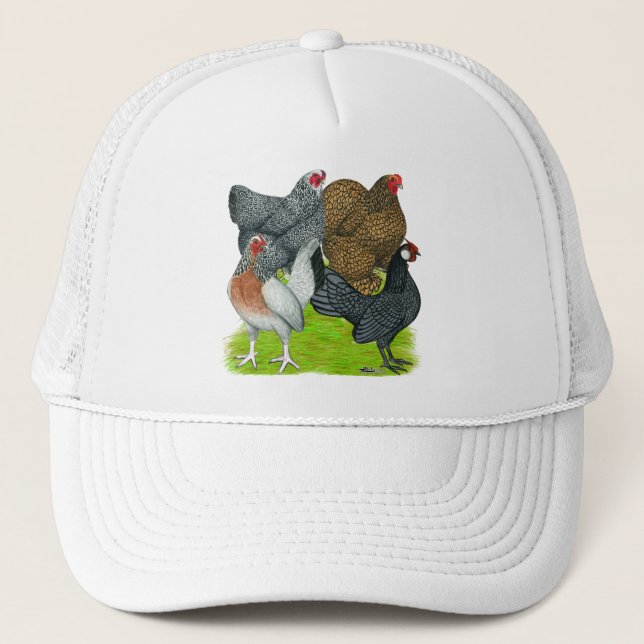 Bantam Hen Quartet Trucker Hat (Front)