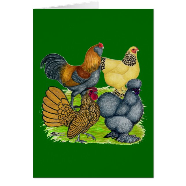 Bantam Quartet (Front)