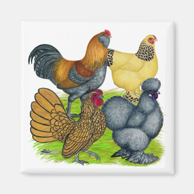 Bantam Quartet Magnet (Front)