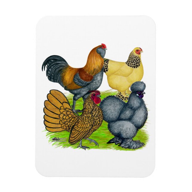 Bantam Quartet Magnet (Vertical)