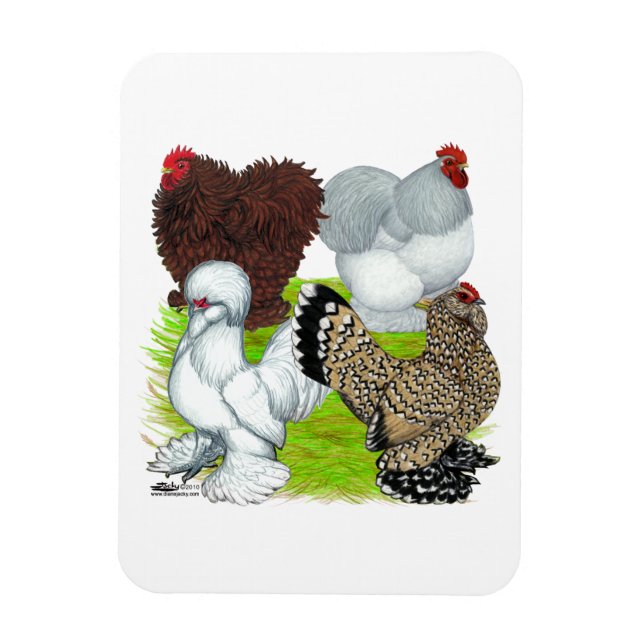 Bantams Feather Legged Magnet (Vertical)