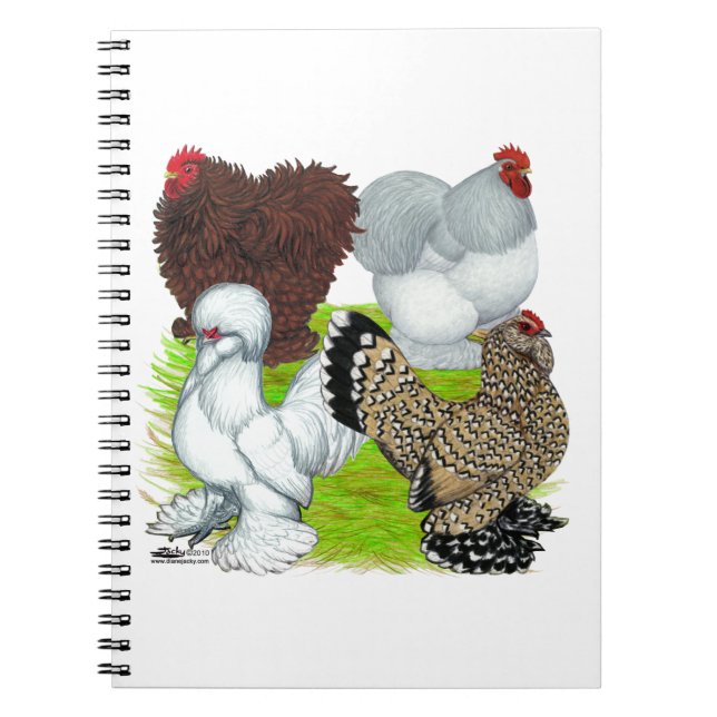 Bantams Feather Legged Notebook (Front)