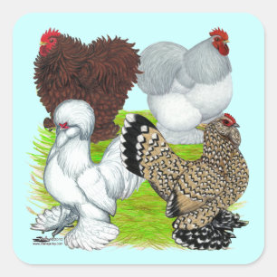Bantams Feather Legged Square Sticker