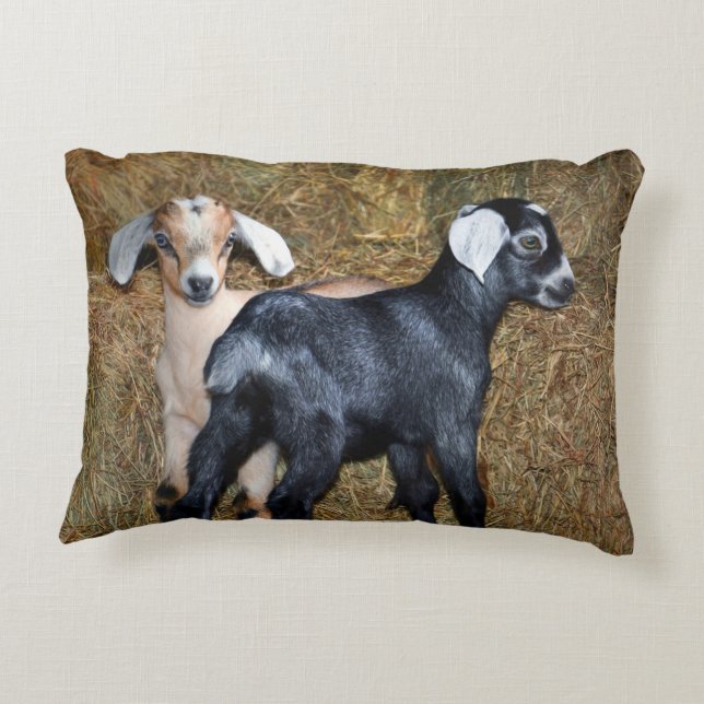 Bany Goats  Decorative Cushion (Back)