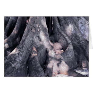 Banyan Tree