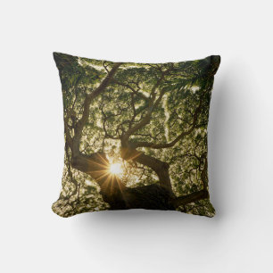 Banyan Tree Canopy Sunstar Cushion