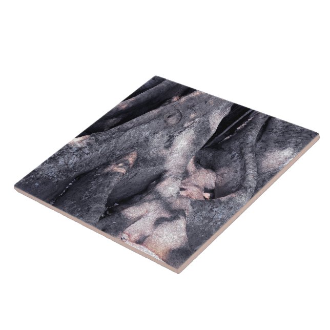 Banyan Tree Ceramic Tile (Side)