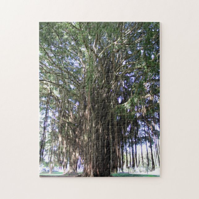 Banyan Tree, Hilo Hawaii Jigsaw Puzzle (Vertical)
