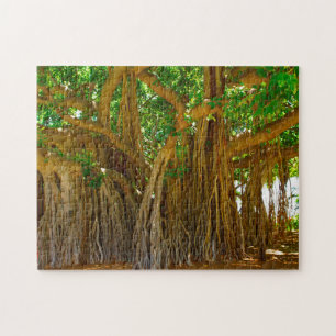 Banyan Tree Honolulu HawaiI. Jigsaw Puzzle