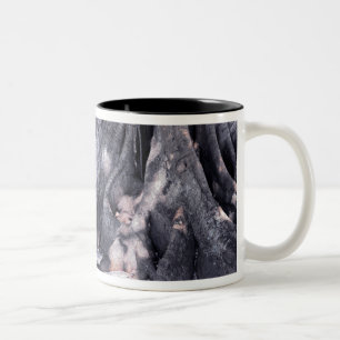 Banyan Tree Two-Tone Coffee Mug