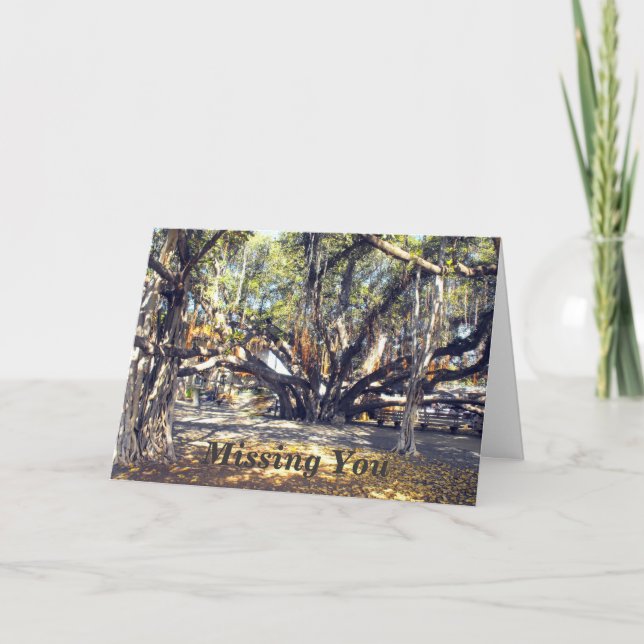 Banyon Tree in Lahaina Maui, Missing You Card (Front)