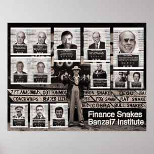 Banzai7 Finance Snakes Poster