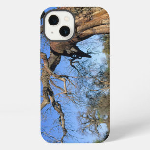 Baobab (Adansonia Digitata), Kruger National iPhone Case