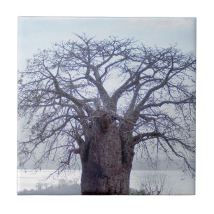 Baobab (Adansonia Digitata), Luanda Ceramic Tile