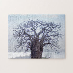 Baobab (Adansonia Digitata), Luanda Jigsaw Puzzle