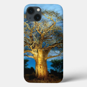 Baobab (Adansonia) Tree Light Up By The Moon iPhone 13 Case
