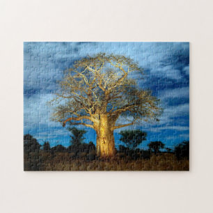 Baobab (Adansonia) Tree Light Up By The Moon Jigsaw Puzzle