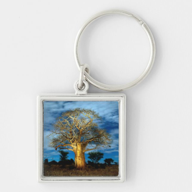 Baobab (Adansonia) Tree Light Up By The Moon Key Ring (Front)