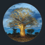 Baobab (Adansonia) Tree Light Up By The Moon Large Clock<br><div class="desc">Gallo Images / DanitaDelimont.com Africa,  Tanzania</div>