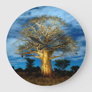 Baobab (Adansonia) Tree Light Up By The Moon Large Clock