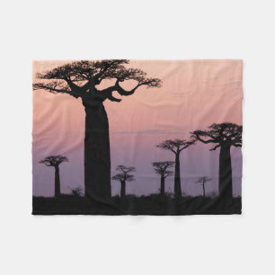 Baobab Alley', Madagascar, Morondava, Africa, Fleece Blanket