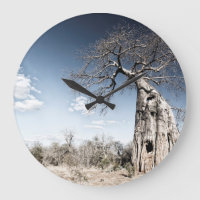 Baobab Tree at Mana Pools National Park Photo