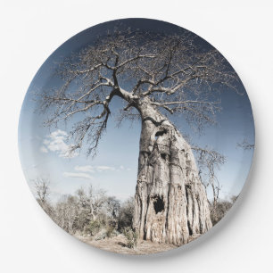 Baobab Tree at Mana Pools National Park Photo Paper Plate