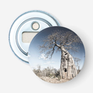 Baobab Tree at Mana Pools National Park, Zimbabwe Bottle Opener