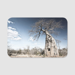 Baobab Tree at Mana Pools National Park, Zimbabwe. Name Tag
