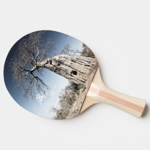 Baobab Tree at Mana Pools National Park, Zimbabwe Ping Pong Paddle