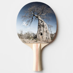 Baobab Tree at Mana Pools National Park, Zimbabwe Ping Pong Paddle