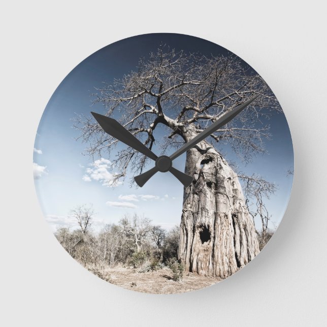 Baobab Tree at Mana Pools National Park, Zimbabwe Round Clock (Front)