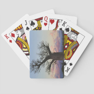 Baobab trees, Berenty, Toliara, Madagascar Playing Cards
