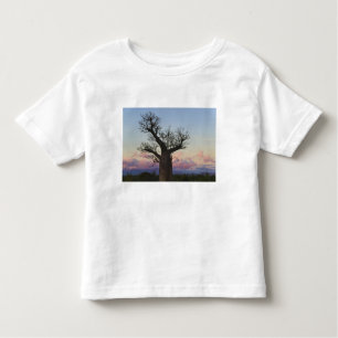 Baobab trees, Berenty, Toliara, Madagascar Toddler T-Shirt