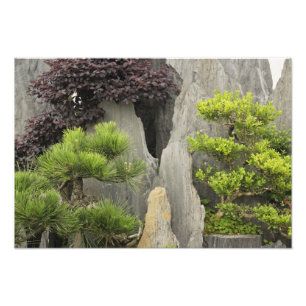 Bao's family garden, Huangshan, China. 2 Photo Print