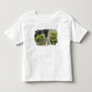 Bao's family garden, Huangshan, China. 2 Toddler T-Shirt