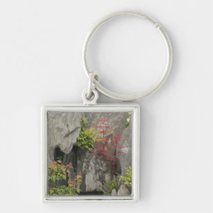 Bao's family garden, Huangshan, China. Key Ring