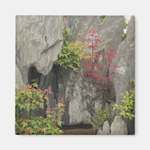 Bao's family garden, Huangshan, China. Magnet