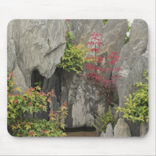 Bao's family garden, Huangshan, China. Mouse Pad