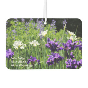 Baptisia, White & Blue Siberian Iris Car Air Freshener