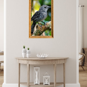 Bar-crested antshrike poster