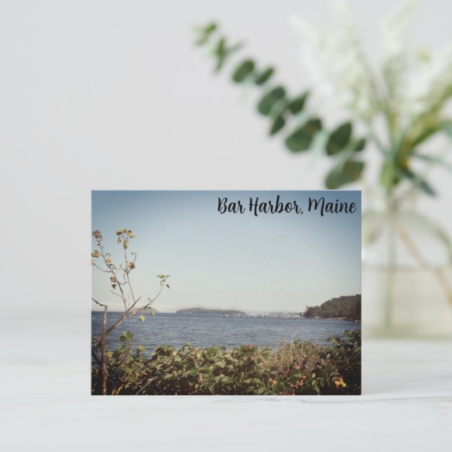 Bar Harbour Cove Postcard (Standing Front)