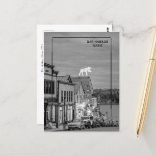 Bar Harbour, Maine Postcard