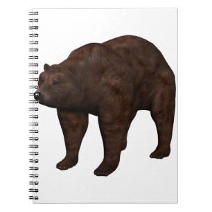 Bär Notebook