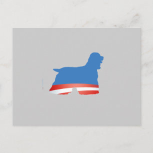 BARACKER SPANIEL POSTCARD