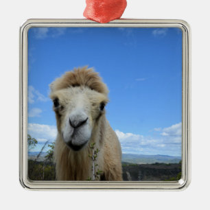 Baraka the Smiling Camel Ornament