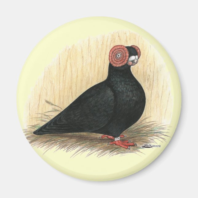 Barb Pigeon Standard Black Magnet (Front)
